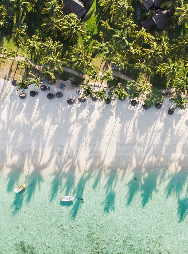 spiaggia tropicale vista dall'alto con palme spiaggia con sabbia bianca e mare turchese