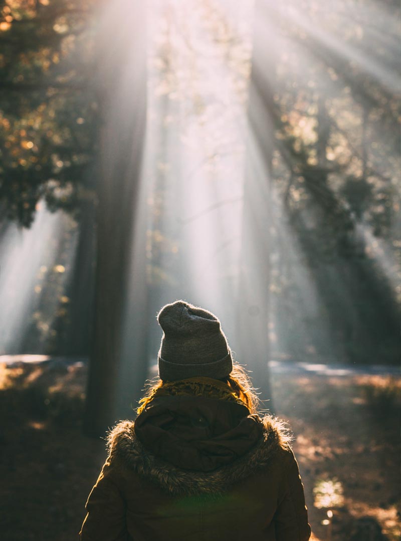 una ragazza con cappello di lana di spalle mentre cammina nel bosco con riflesso del sole tra le foglie