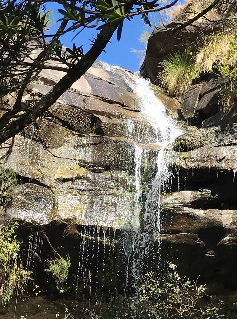 parete rocciosa con cascata e vegetazione